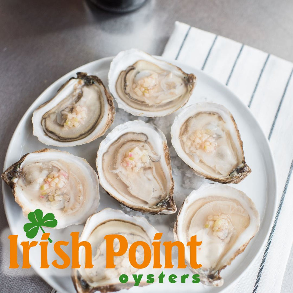 Irish Point Oysters